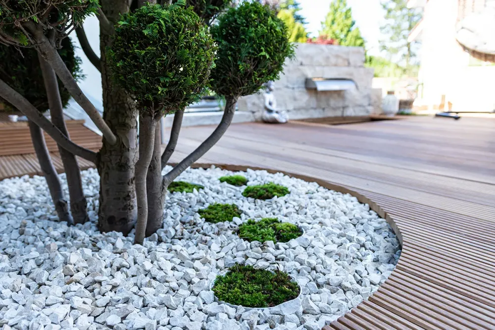 terrasse (1)